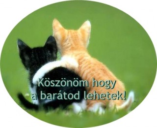 Barát köszöntő