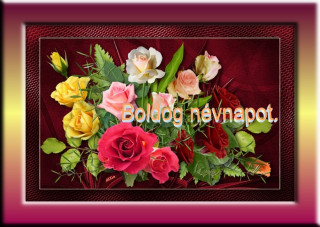 Névnapos