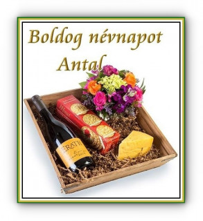 Antal