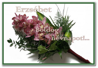 Erzsébet