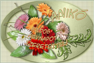 Anikó