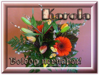 Karola