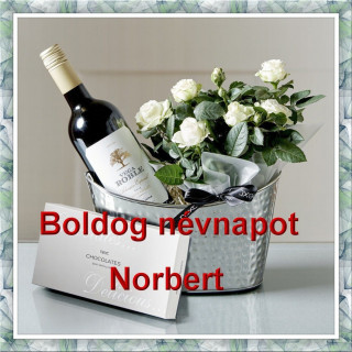 Norbert