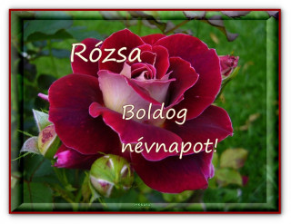 Rózsa névnap