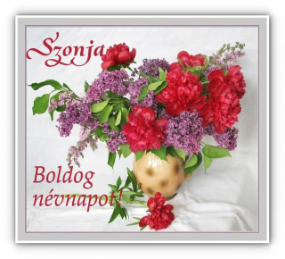 Szonja