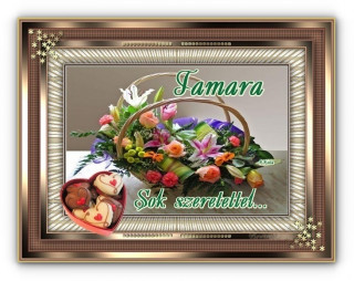 Tamara