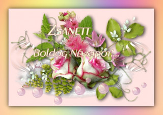 Zsanet