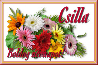 Csilla névnapra