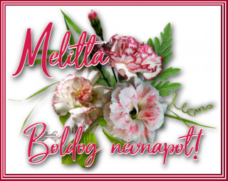 Melitta