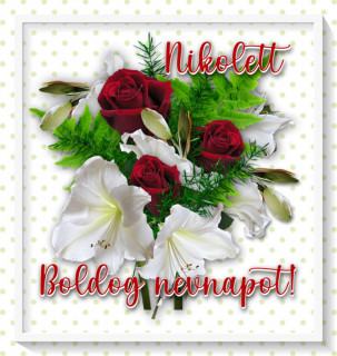 Nikolett
