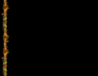Fekete őszi22