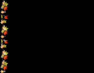 Fek ősz